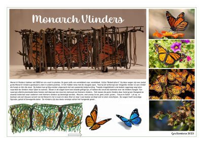 Ger Kemkers - Monarch Vlinders